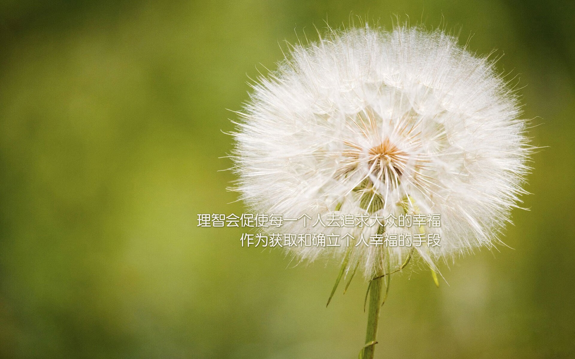 _快船迎来关键战,士气满满_,快船大变动或将拉开帷幕