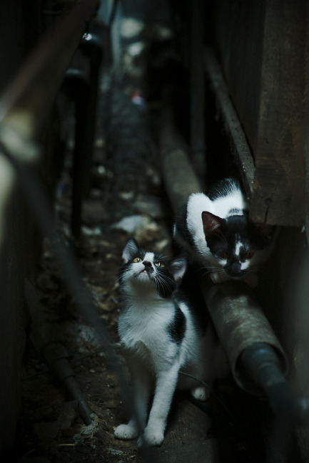 开云·体育官方网站入口-“青训+产业融合”赢得行业未来新蓝天，行业布局日臻完善