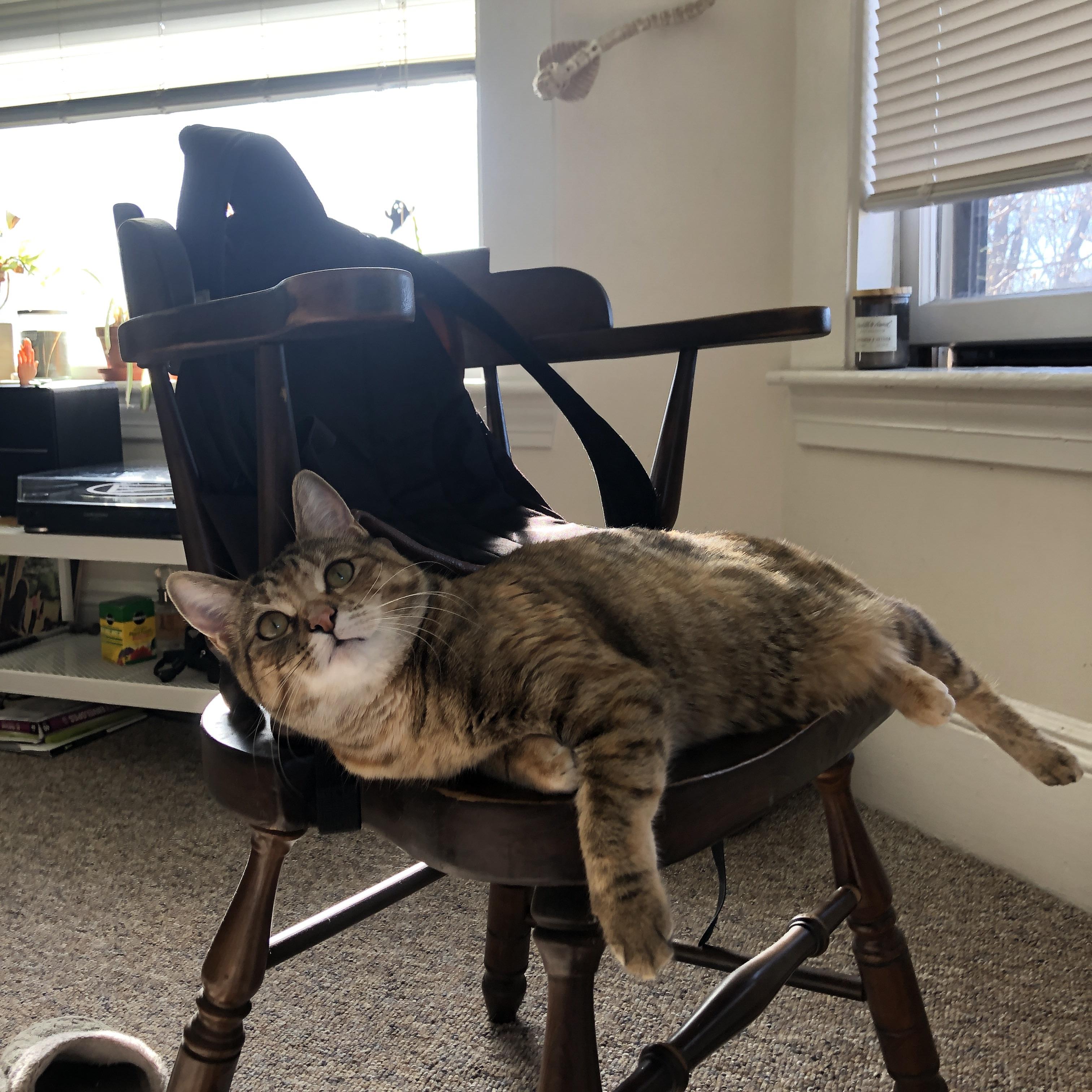 东南亚拳王赛开打,中国选手上演绝地反击,东南亚拳头官网