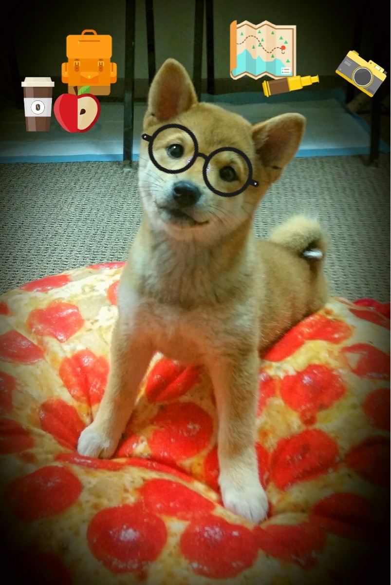 今年联盟中场得分王是谁?表现令人期待!,英雄联盟季中赛比分