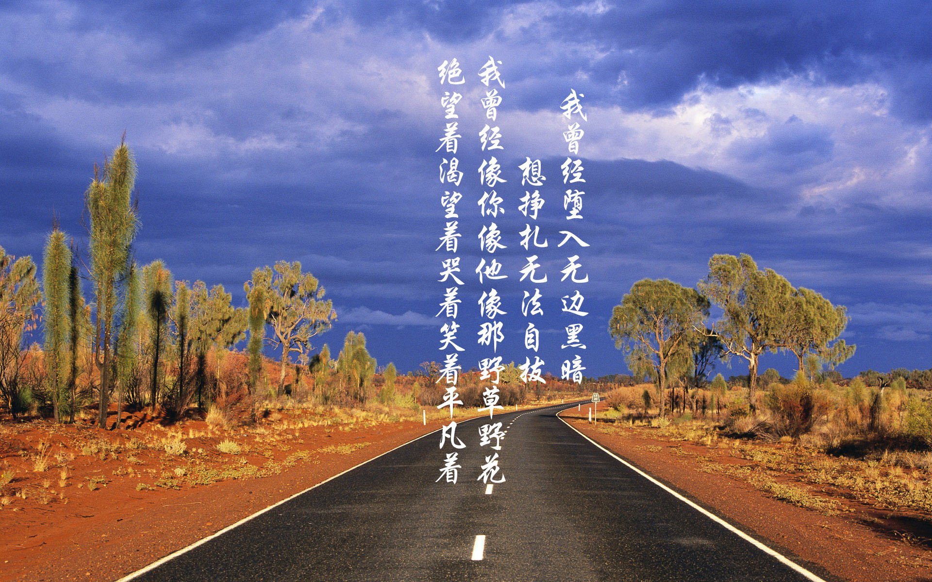 开云APP-意甲明星频频闪耀，精彩瞬间不胜枚举，意甲足球明星